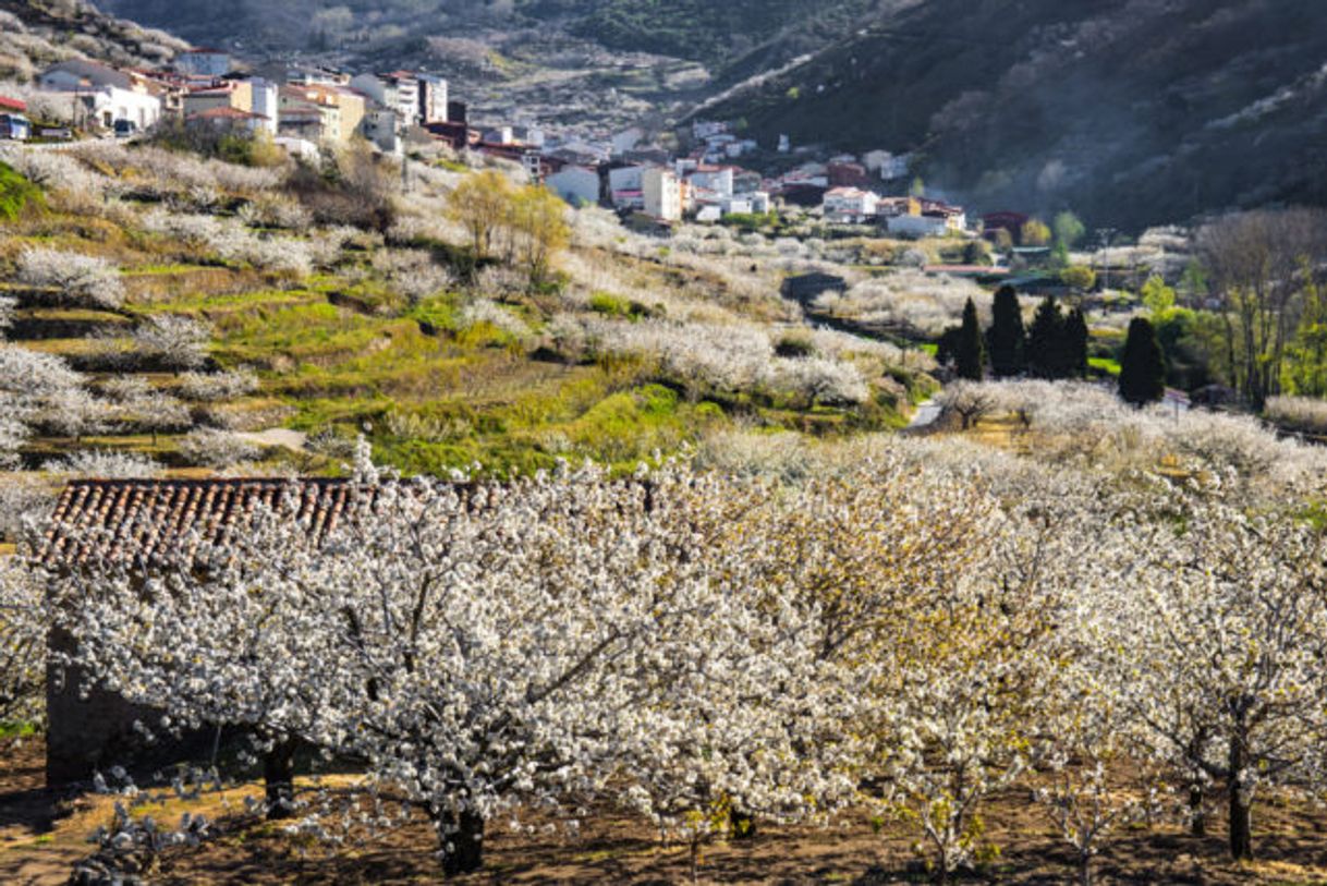 Lugar Valle del Jerte