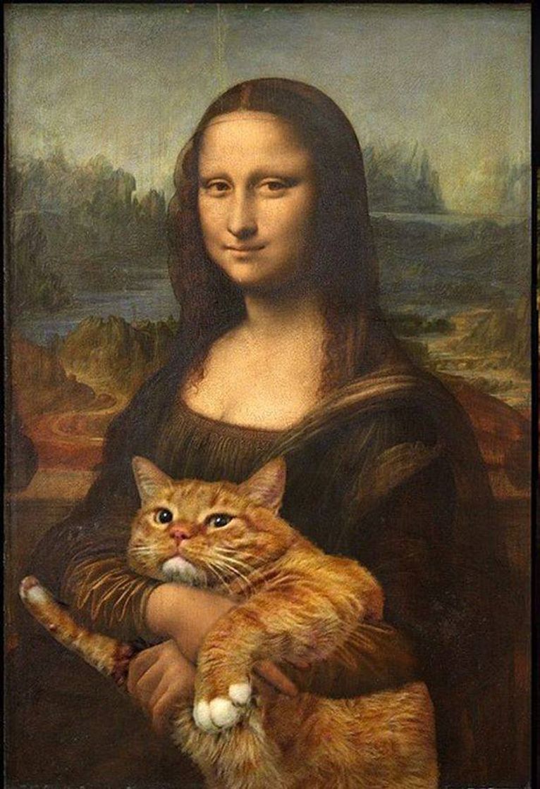 Moda Mona..Cat?