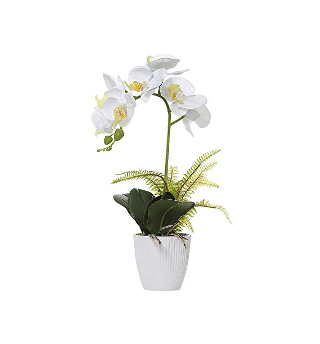 Home Olrla Blanca phalaenopsis Artificial orquídea Bonsai con cerámica Partido Boda del florero