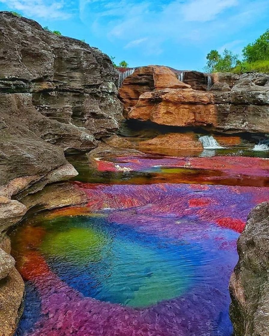 Lugar Caño Cristales