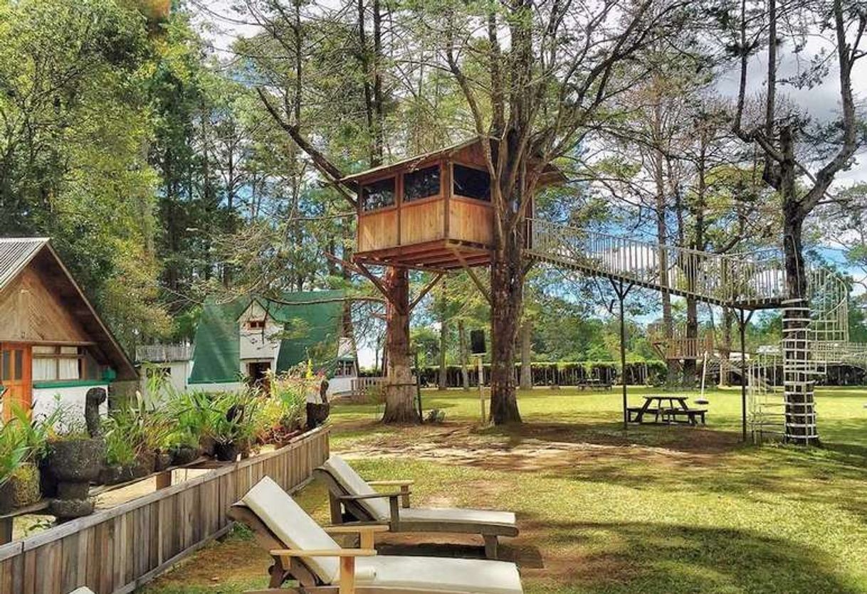 Lugar Siempre Verde Chiapas, Centro Ecoturístico