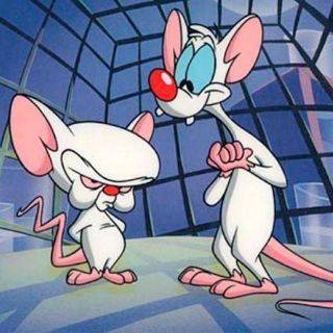 Serie Pinky Y Cerebro 