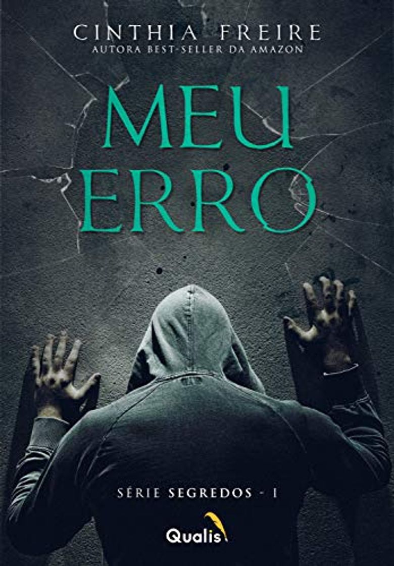 Book Meu erro (Segredos Livro 1)