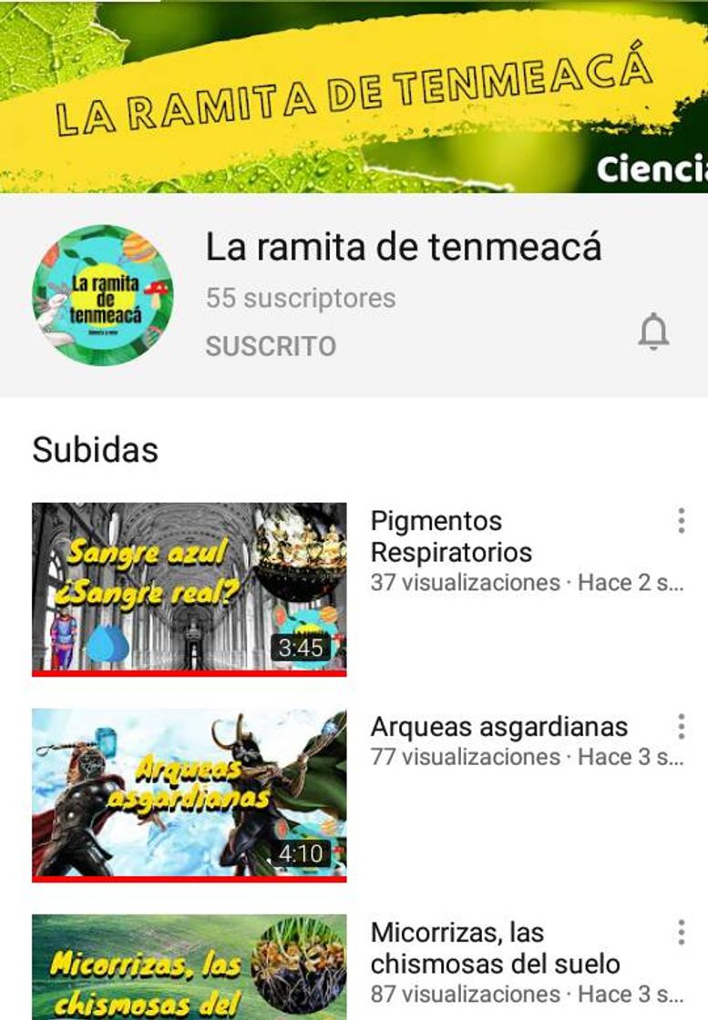 Social La ramita de tenmeacá