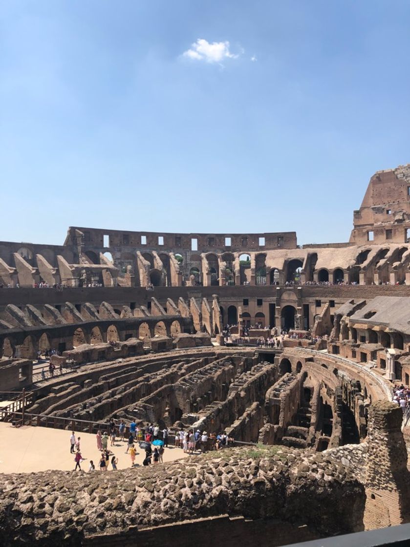 Place Coliseo de Roma