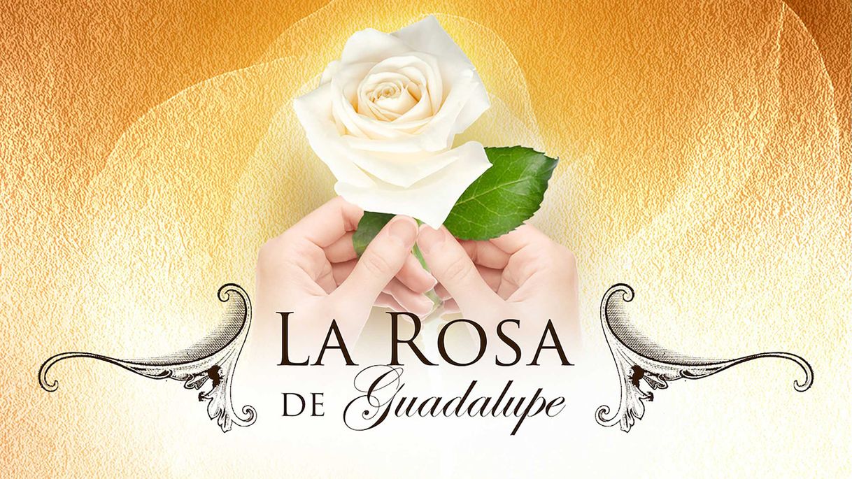 Fashion La Rosa 🌹 de Guadalupe.