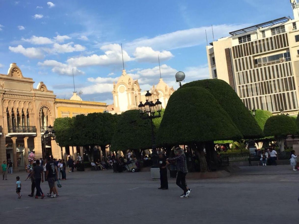 Place Guanajuato, Gto. Centro Histórico