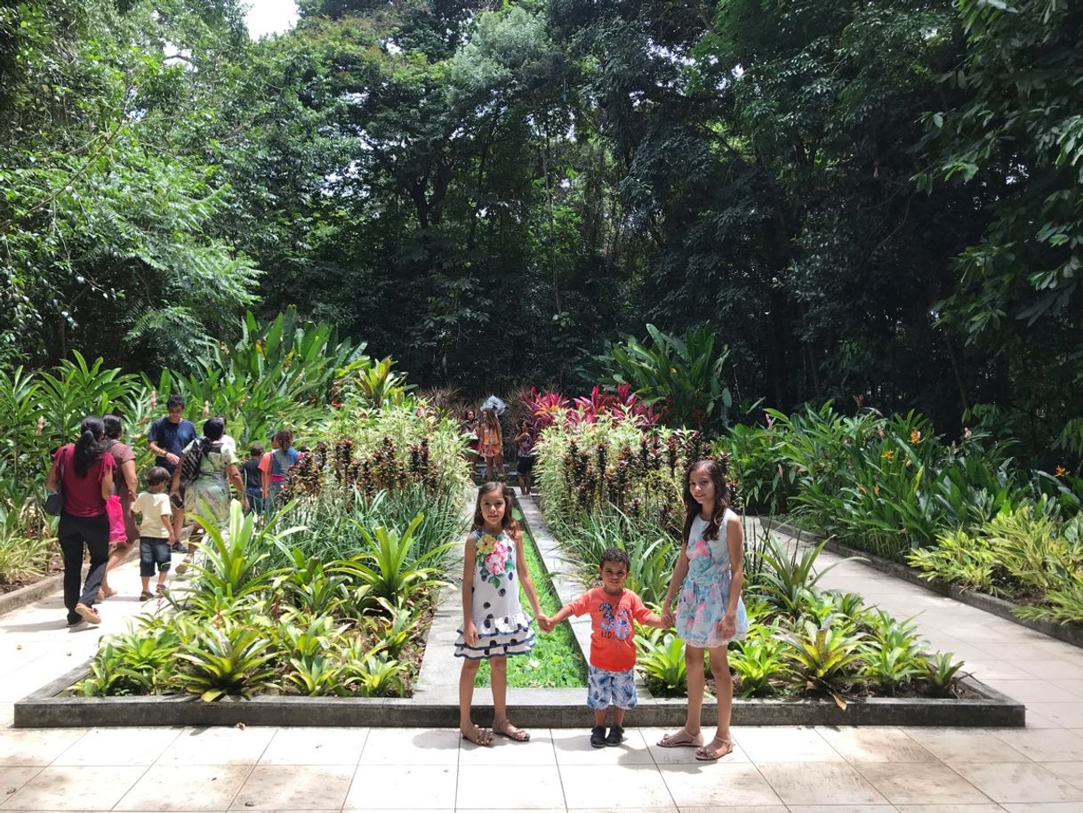 Lugar Jardim Botânico do Recife