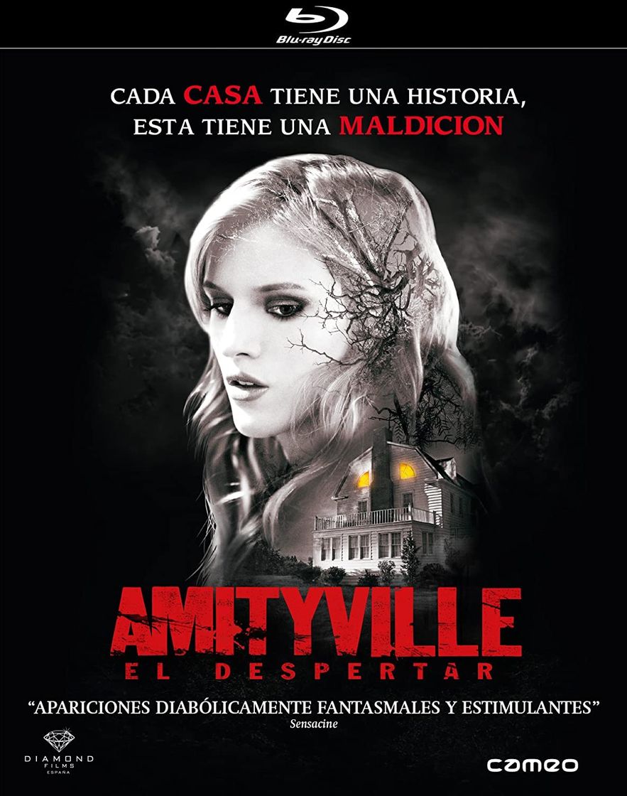 Película Amityville: El despertar