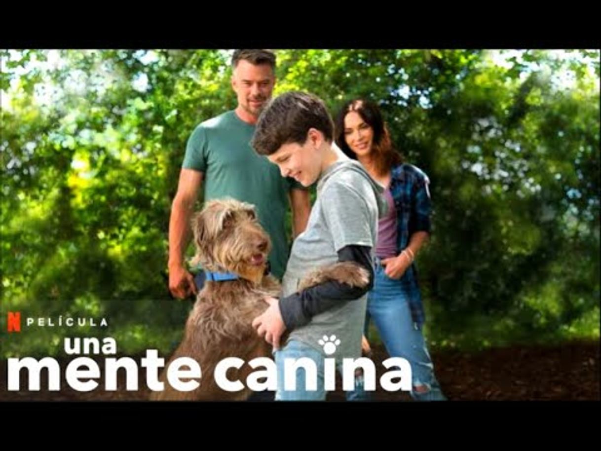 Moda Una Mente Canina 