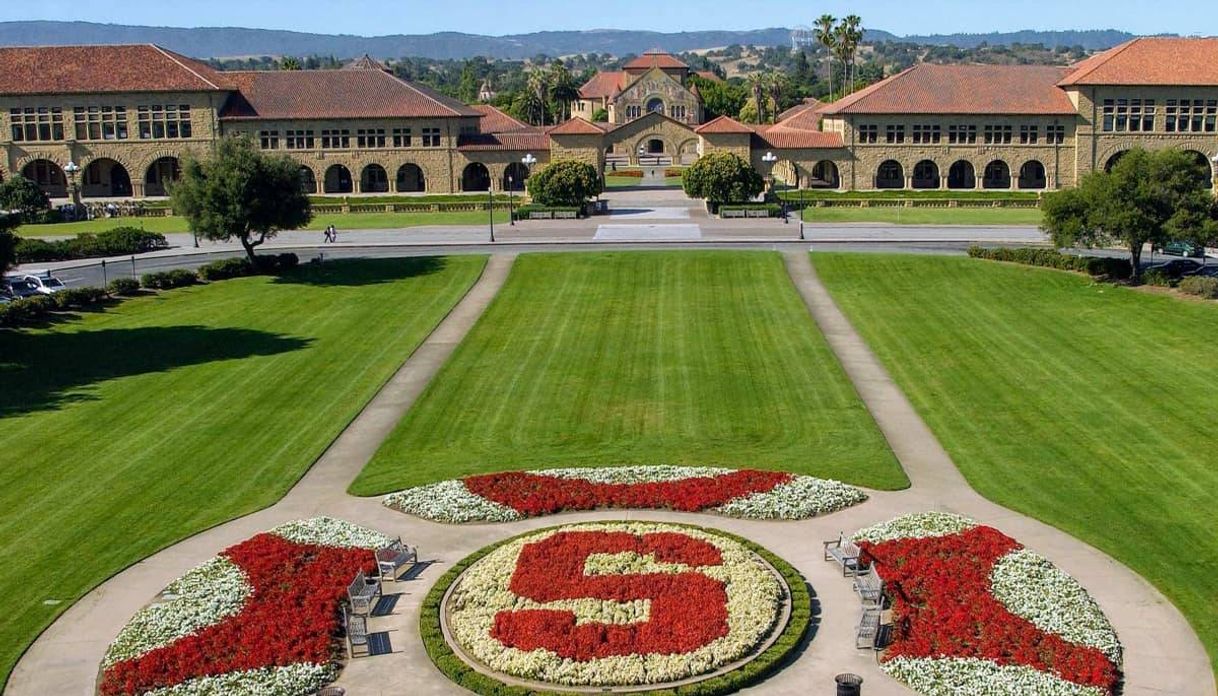 Social Stanford university