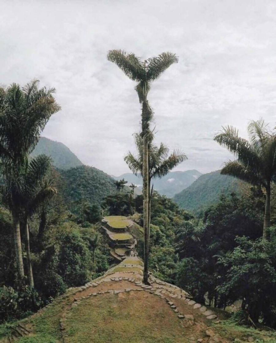 Lugar Ciudad Perdida