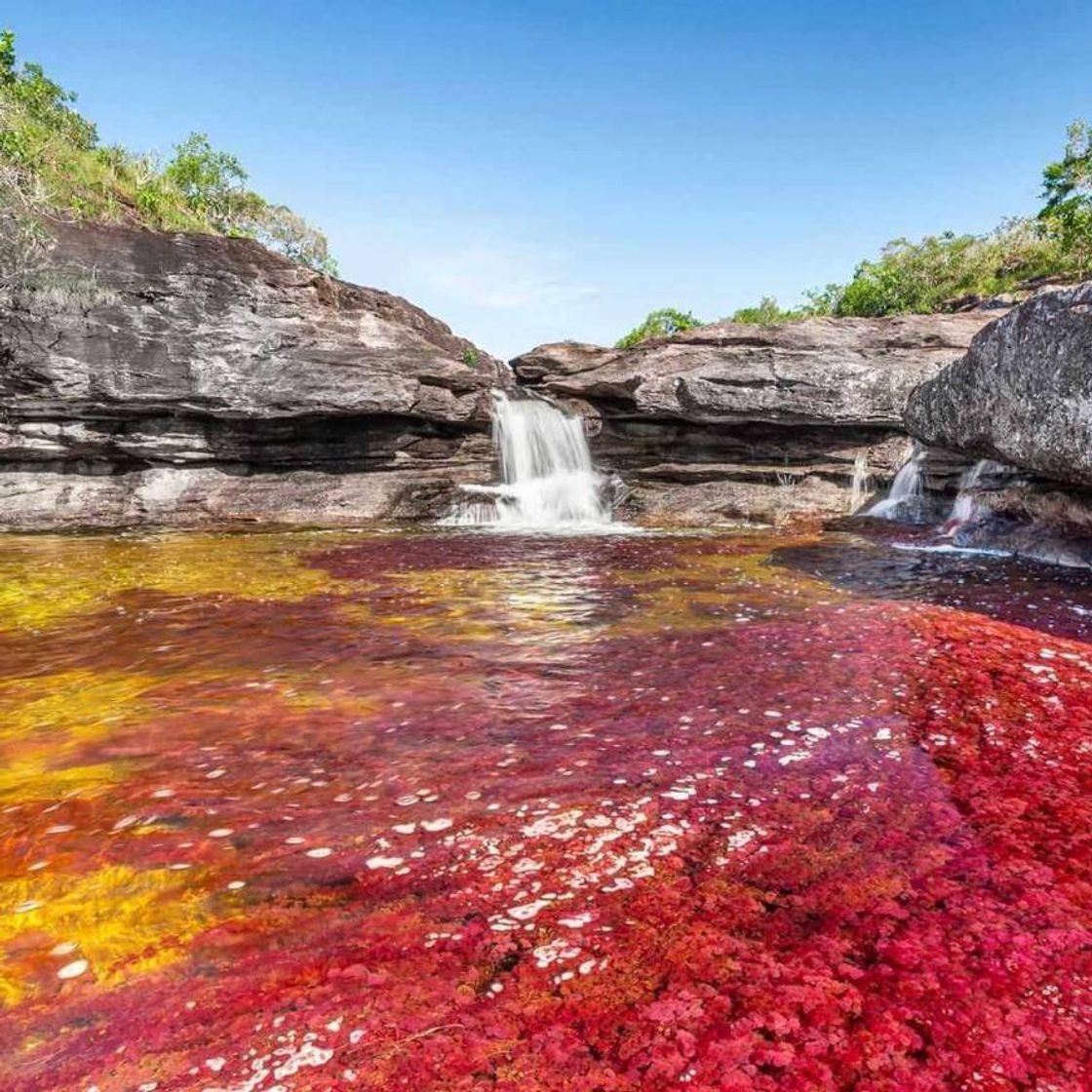 Lugar Caño Cristales