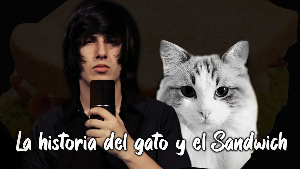 Fashion La historia del Gato y el Sandwich - YouTube