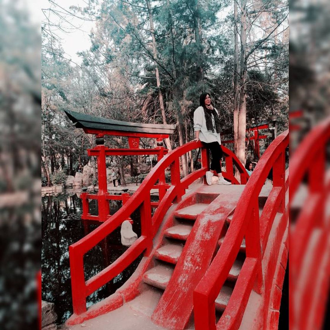 Lugar PARQUE MASAYOSHI OHIRA