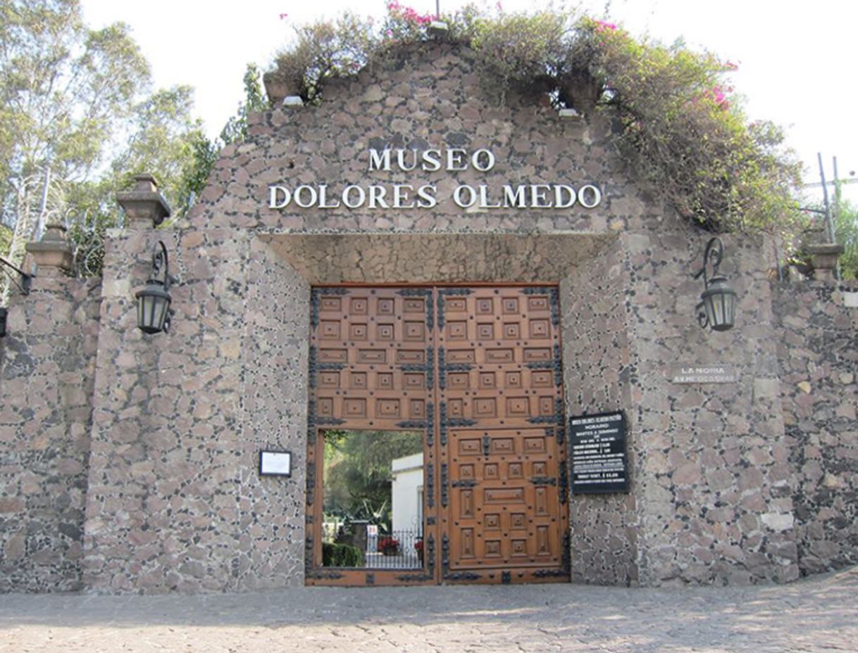 Lugar Museo Dolores Olmedo