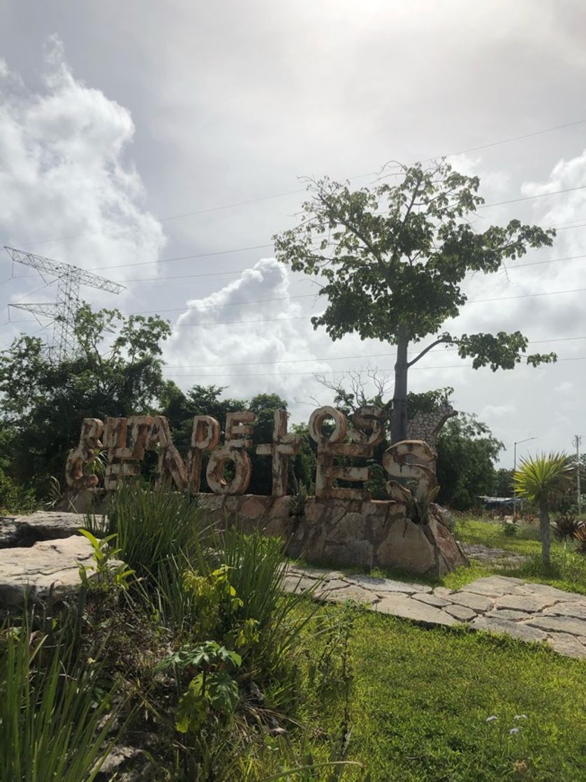 Place Ruta de los cenotes, puerto morelos Qroo