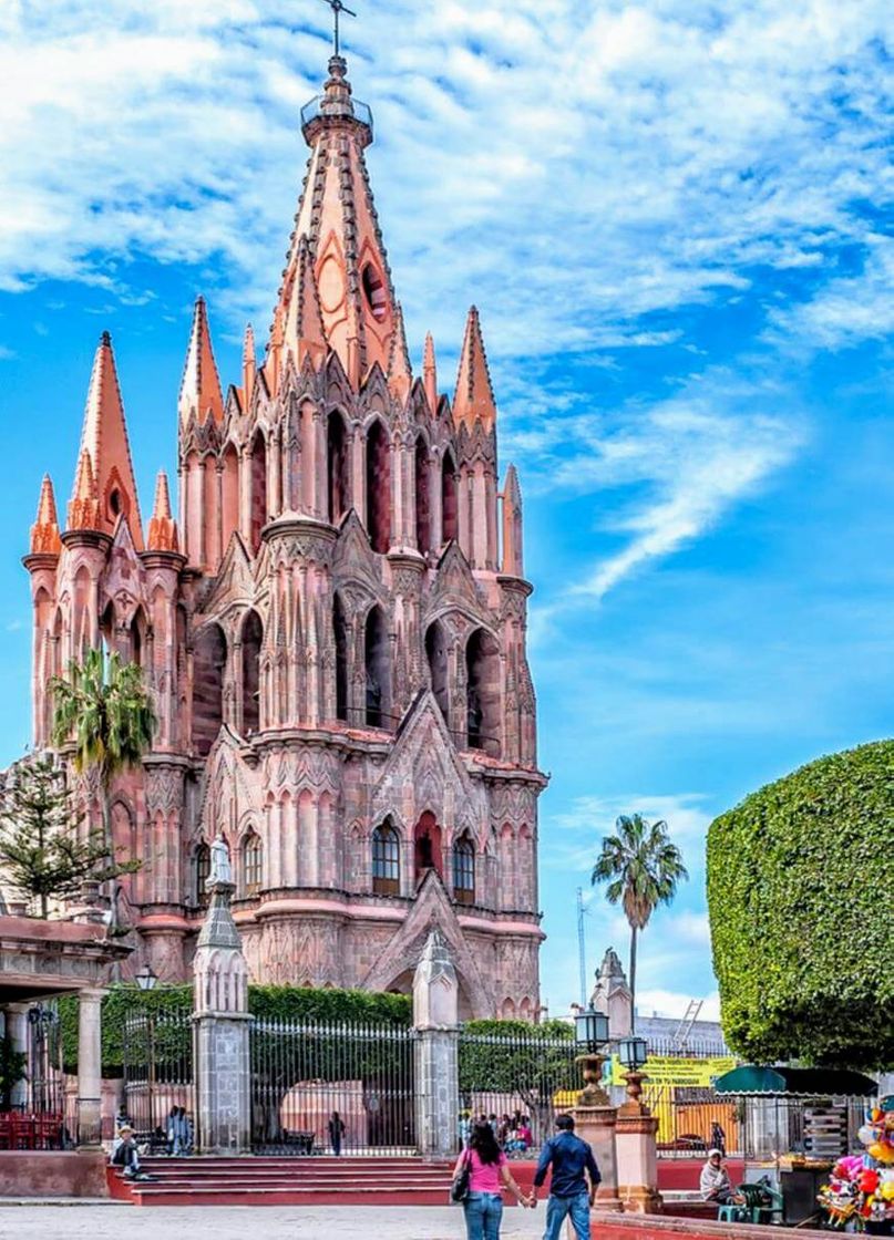 Place San Miguel de Allende