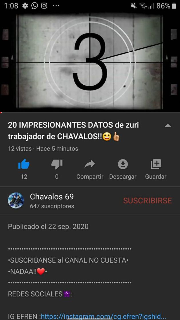 20 IMPRESIONANTES DATOS de zuri trabajador de CHAVALOS ...
