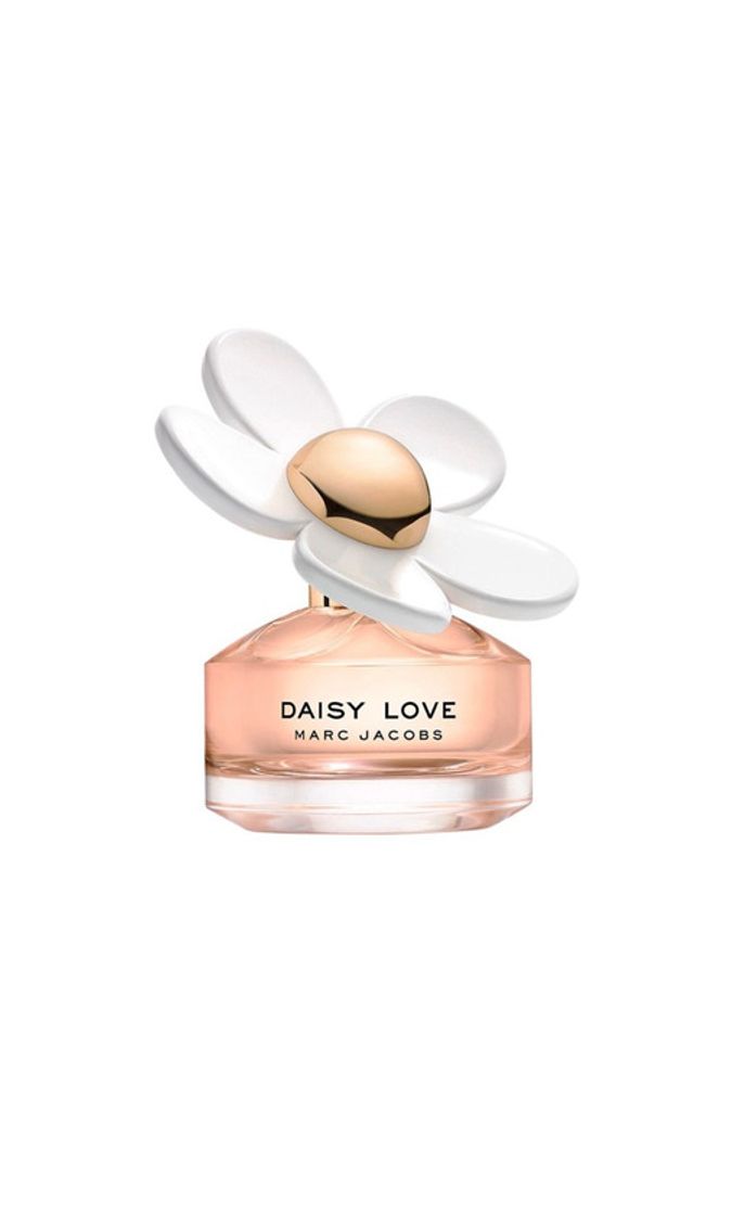 Social Daisy Love