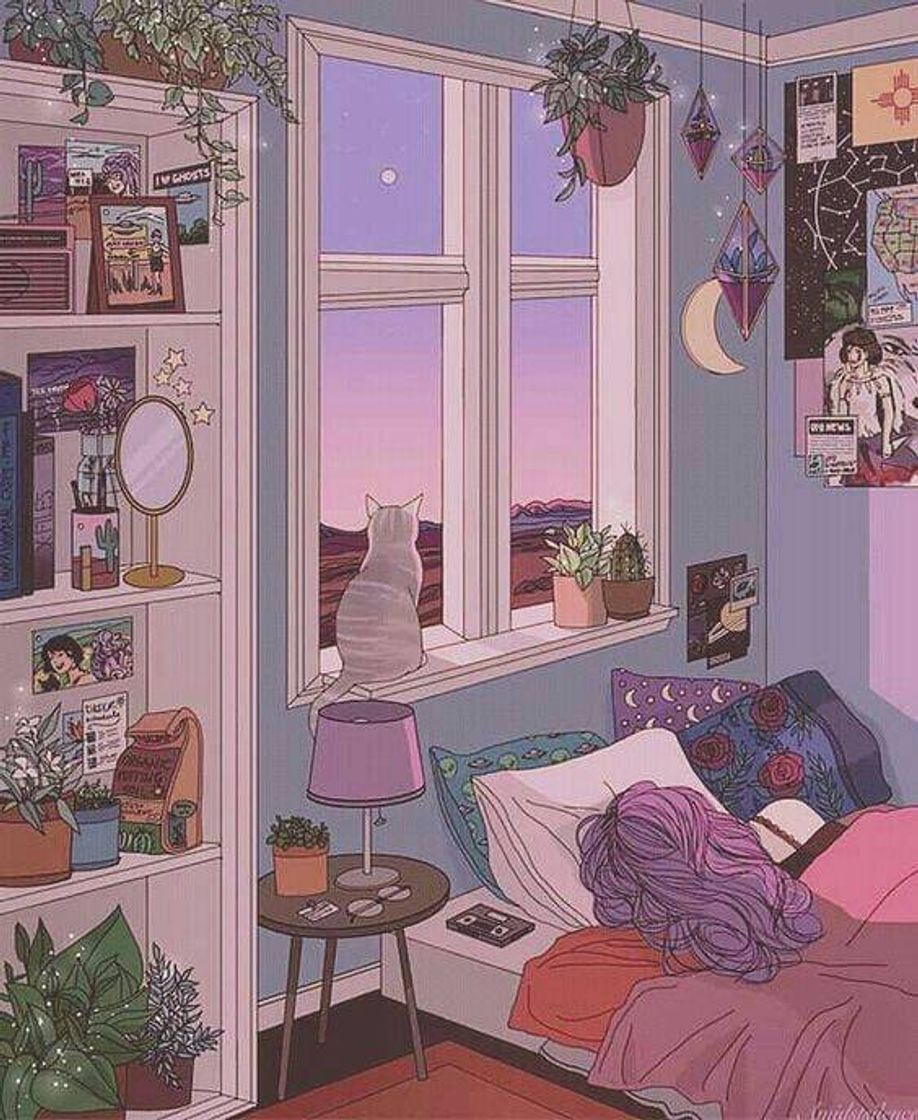 Social Fondo 