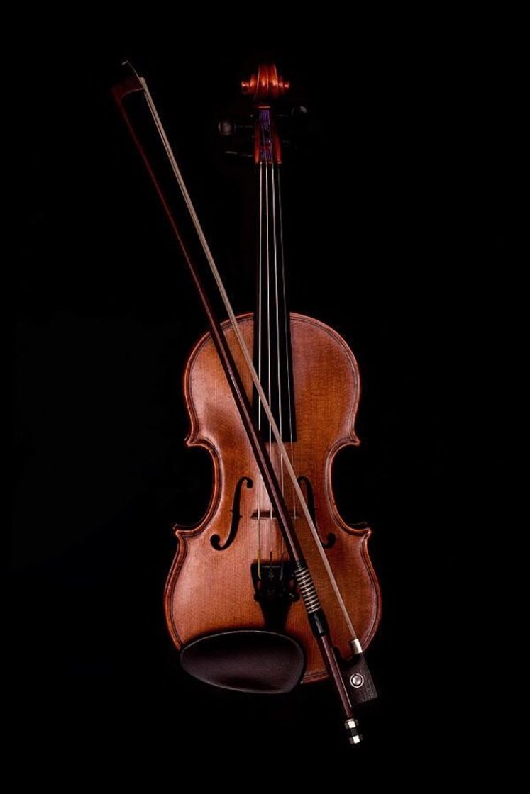 Social Violino