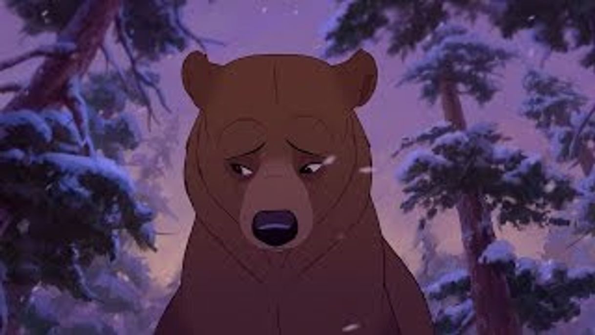 Canción Irmão Urso - Sem Saída 
