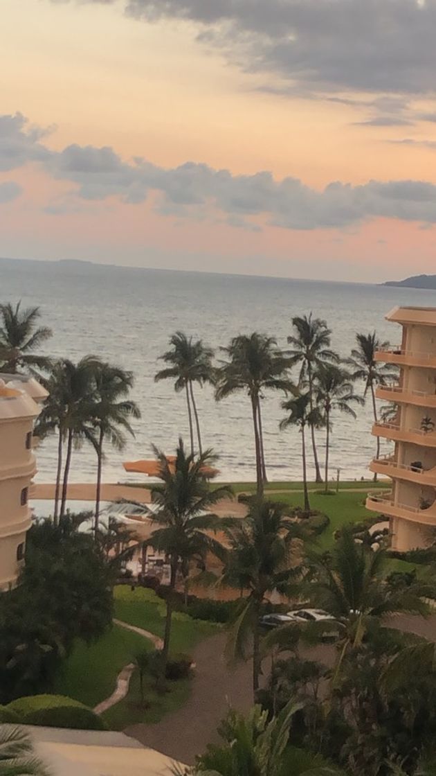 Place Puerto Vallarta
