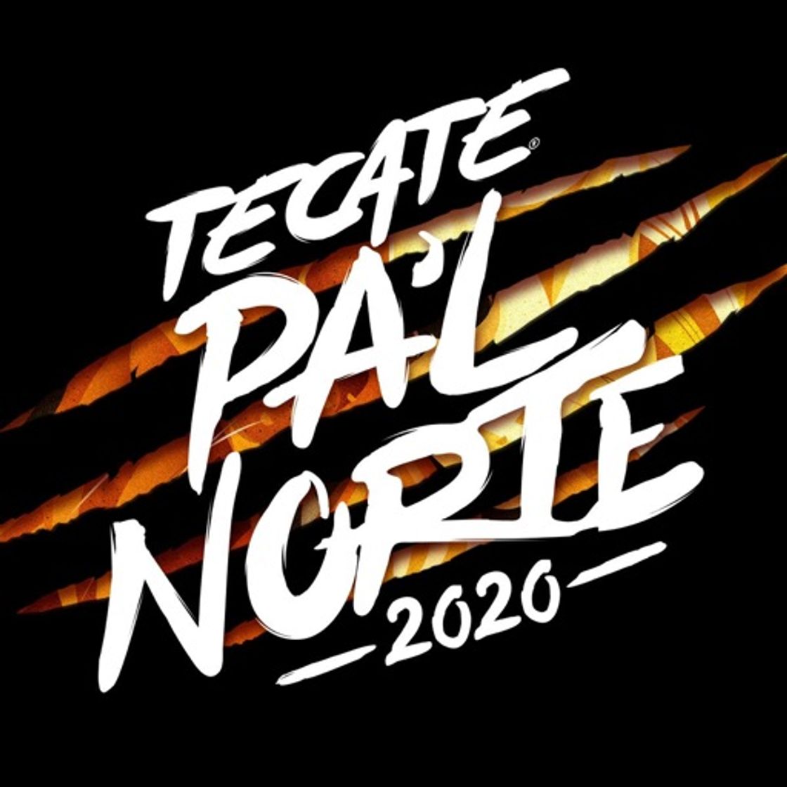 App Tecate Pal Norte