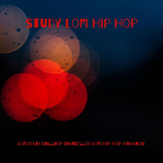 I Study Lofi Hip Hop
