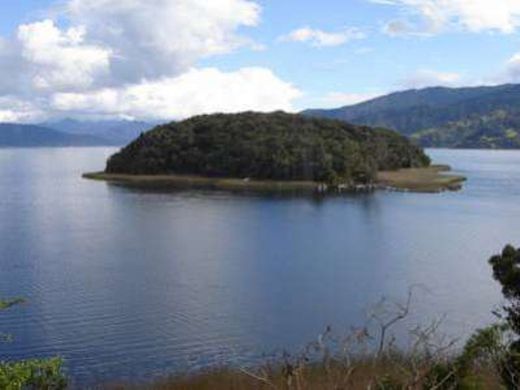 Laguna De La Cocha