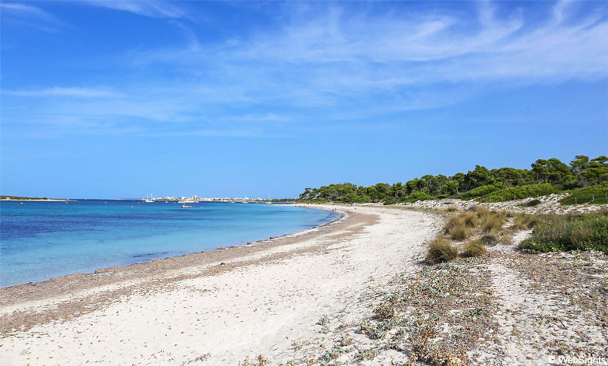 Lugares Es Carbó