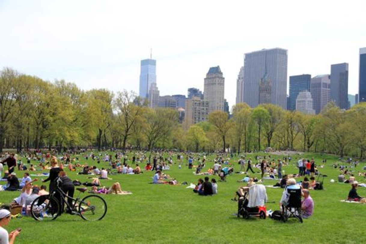 Lugar Sheep Meadow