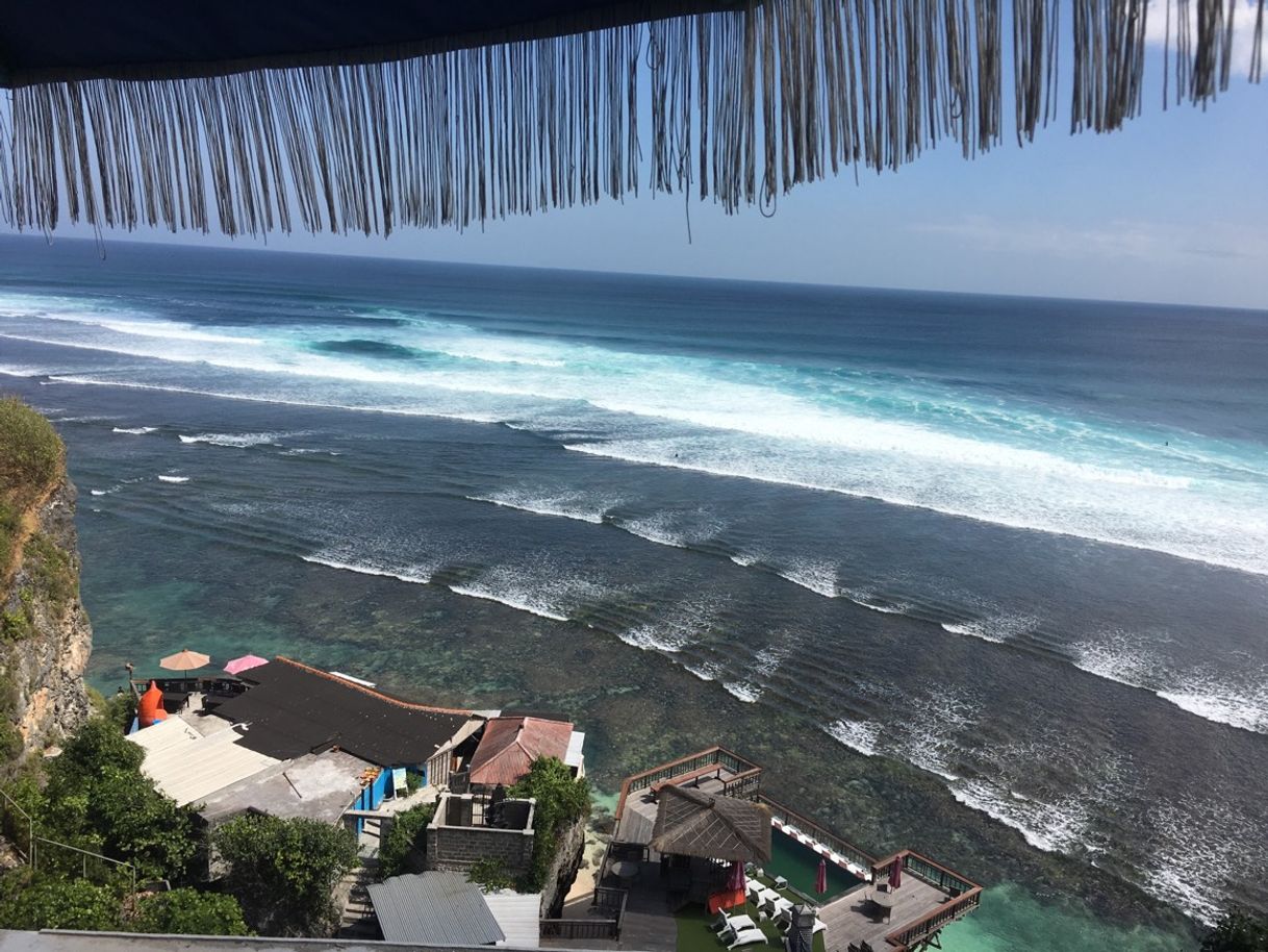 Restaurants Single Fin Bali