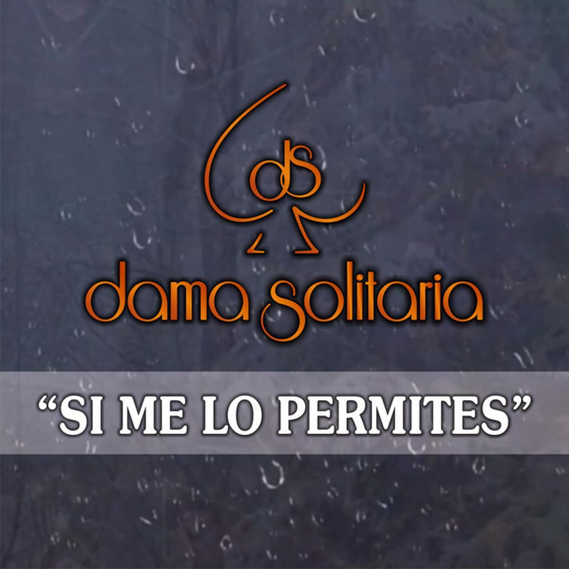 Music Si me lo permites