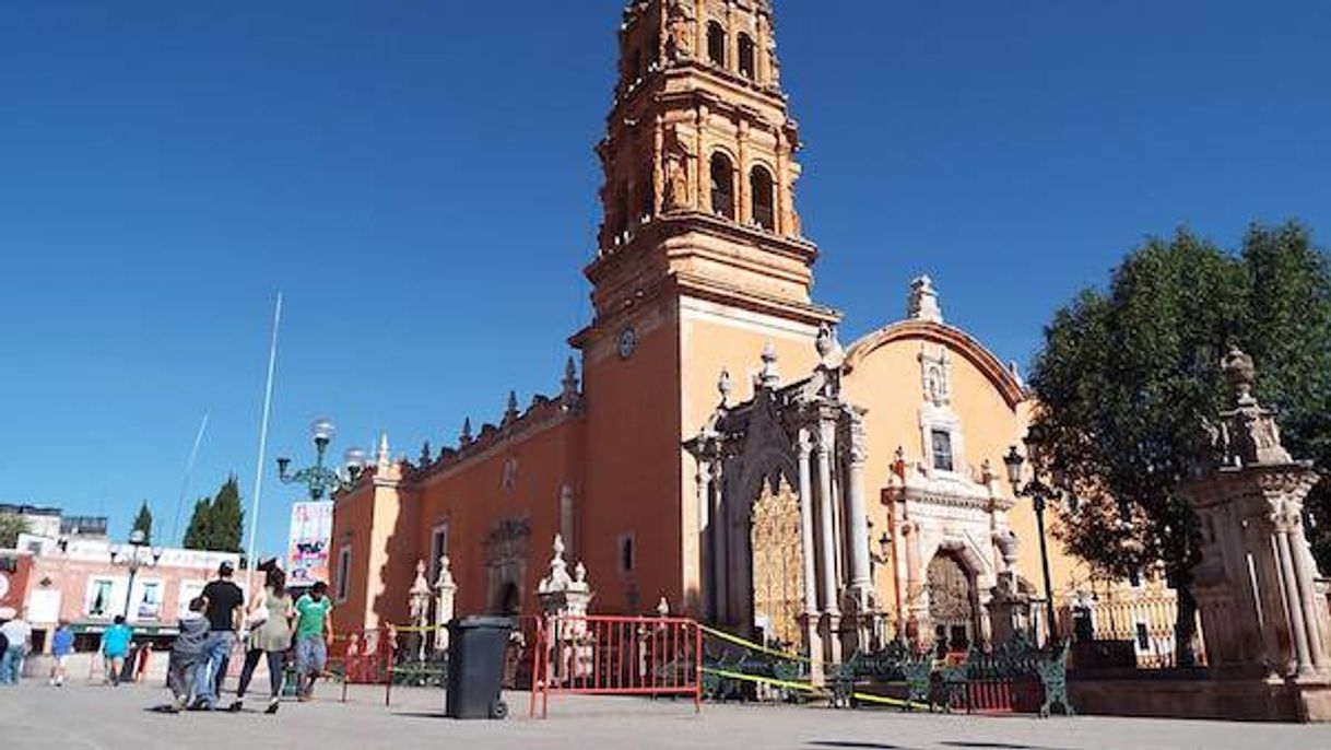 Place Fresnillo