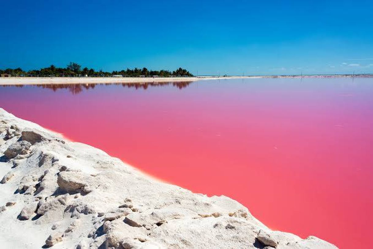 Place Las Coloradas Yucatan