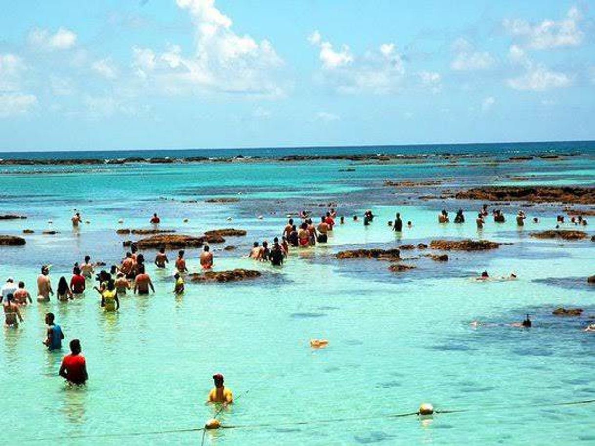 Lugar Praia do Francês