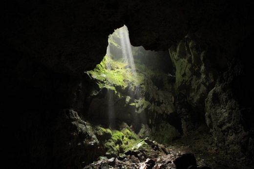 Cueva de los guacharos
