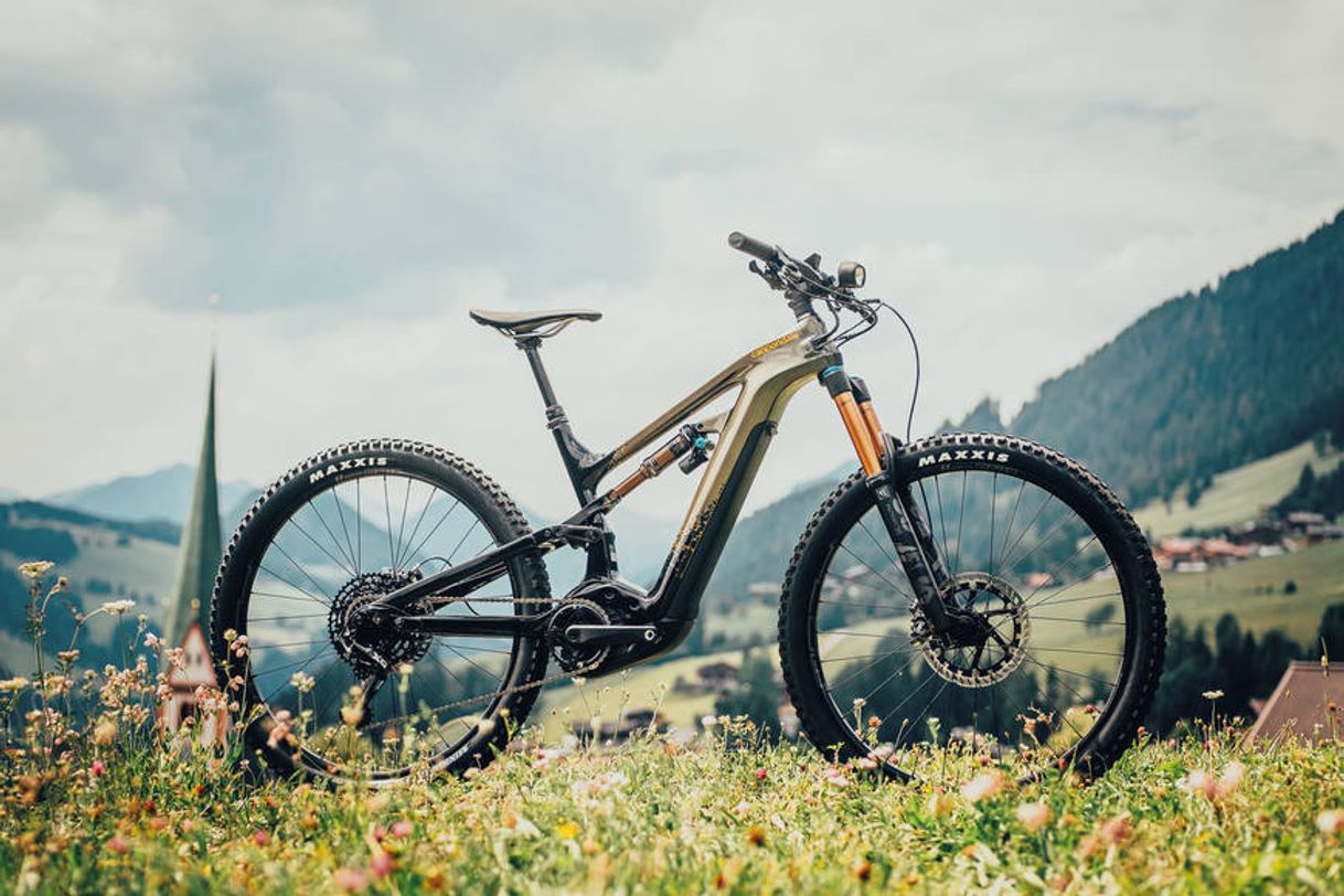 Social CANNONDALE MOTERRA 1