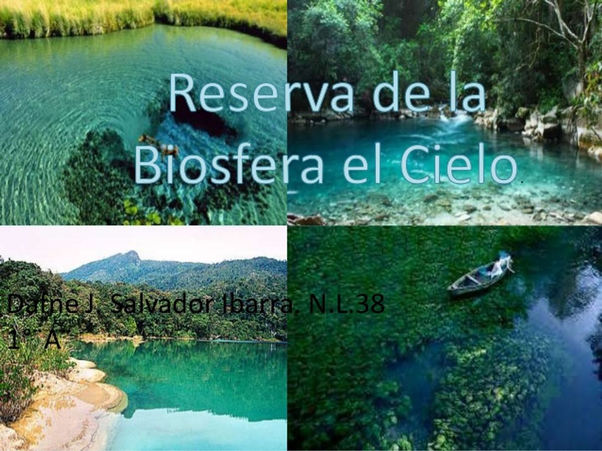 Places Reserva de La Biosfera El Cielo