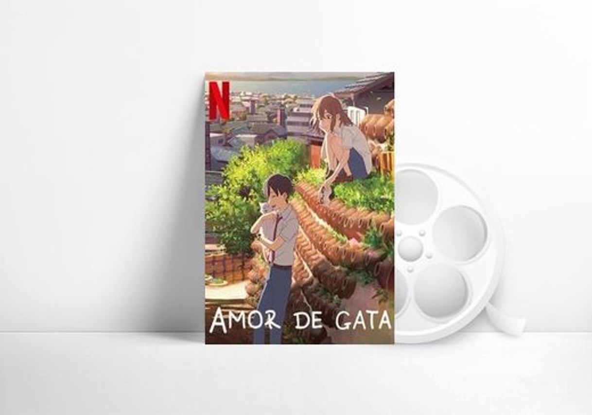 Movie Amor de gata