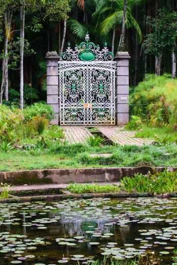 Jardim Botânico- SP