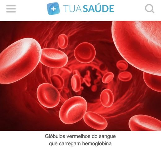Hemoglobina: qué es, cuándo está alta o baja y valores normales ...