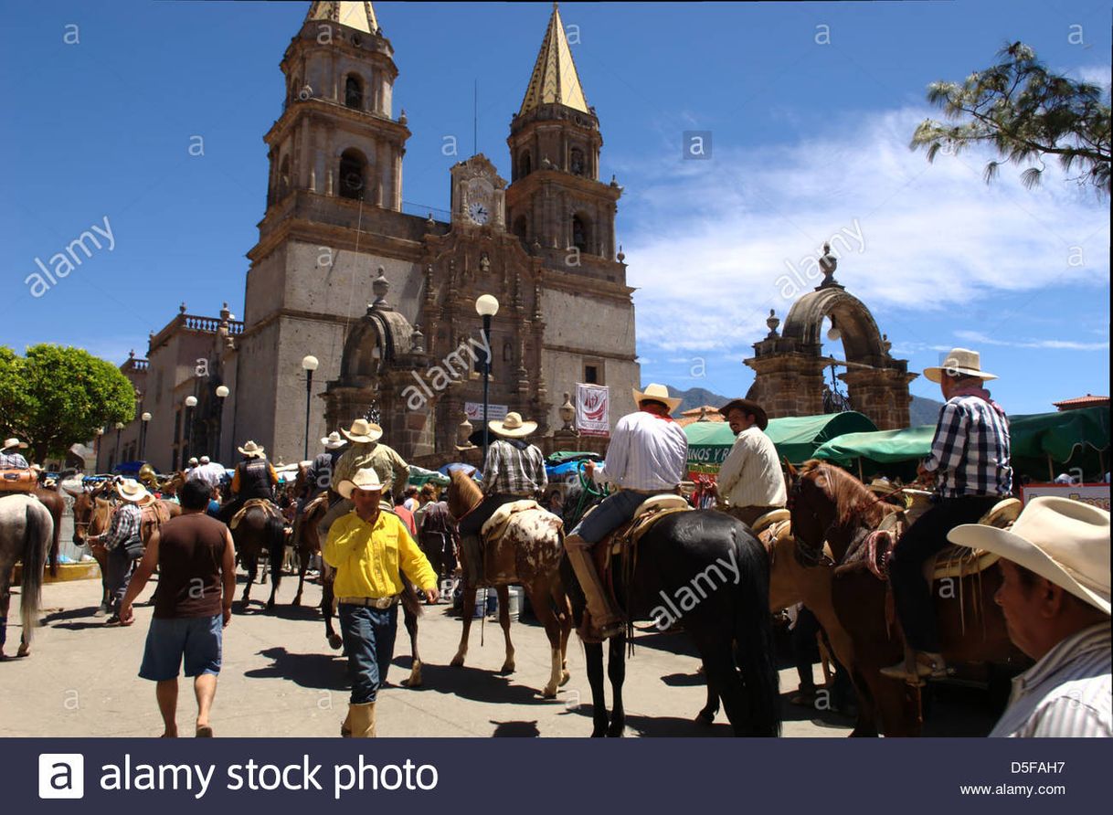 Lugar Talpa de Allende