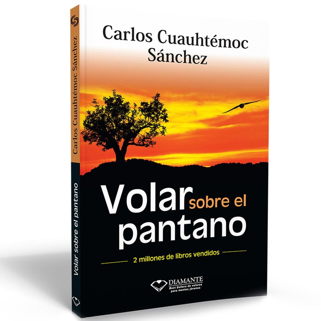 Libros Volar sobre el pantano 