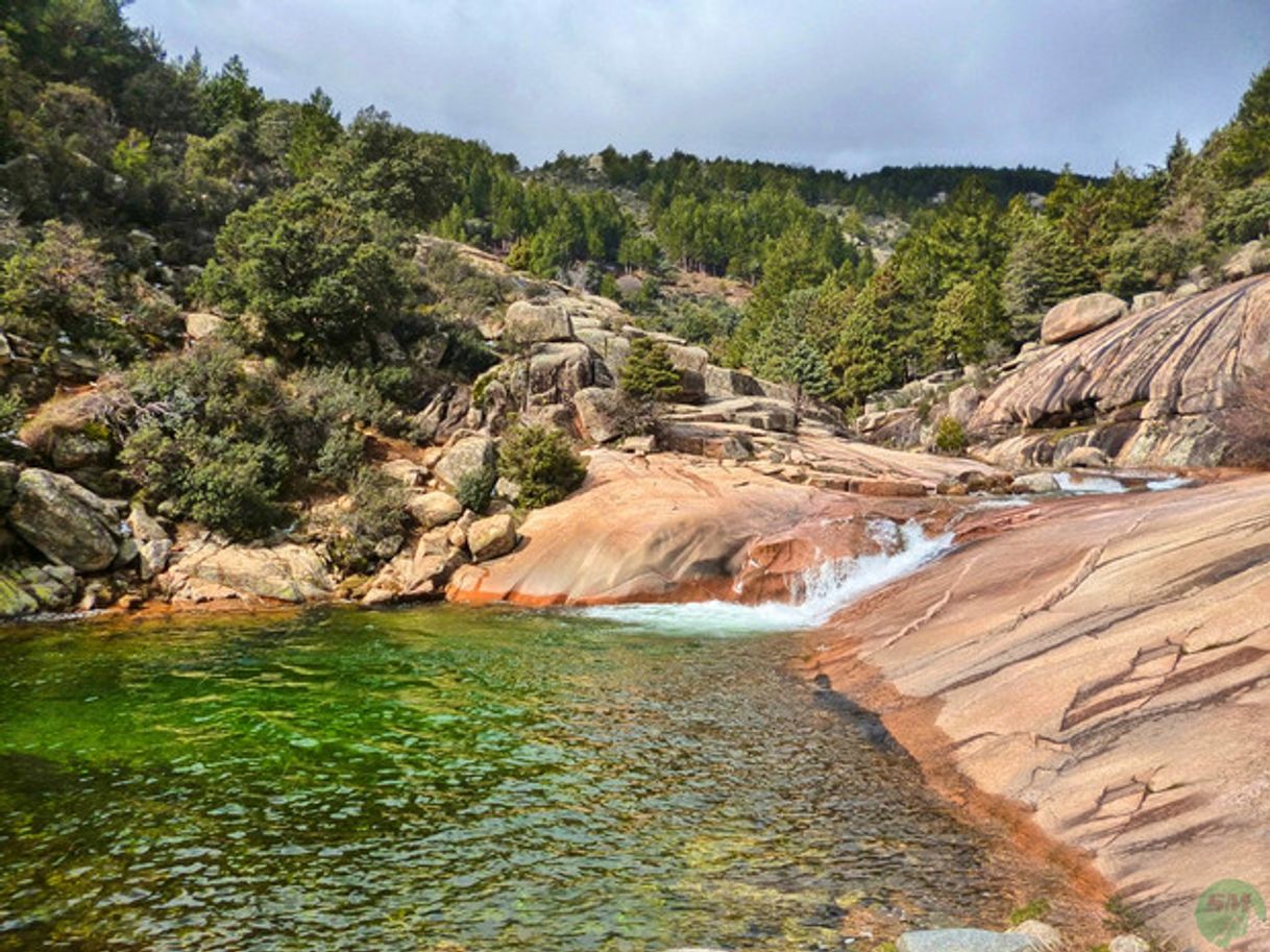 Lugares Charca Verde