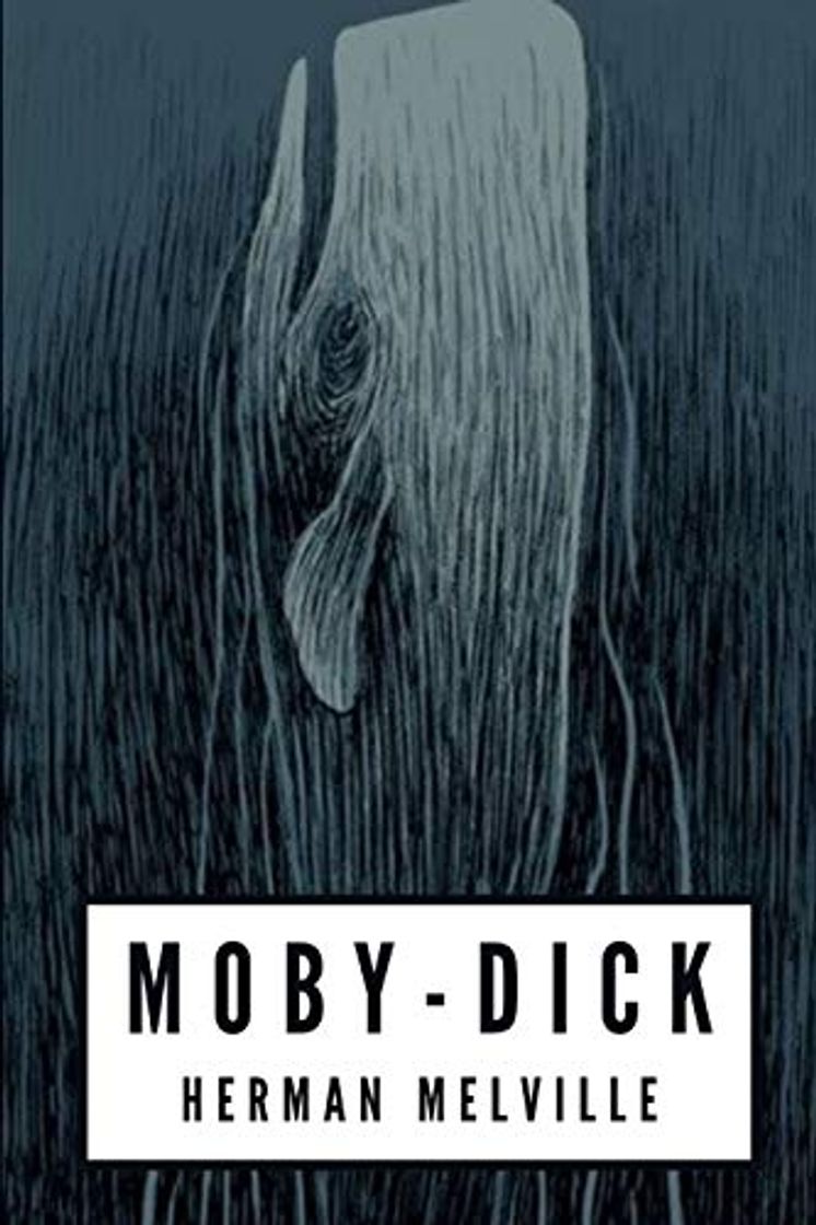 Libro Moby