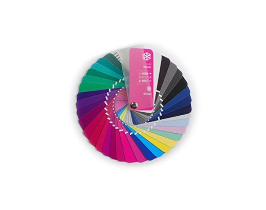 Paleta de color en formato abanico para el color tipo Invierno con 35 colores