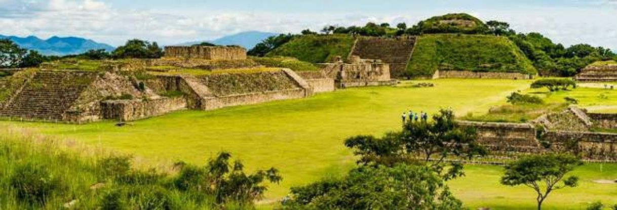 Place Monte Albán